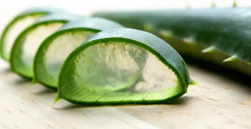 A cosa serve il succo di aloe e quali sono le sue proprietà