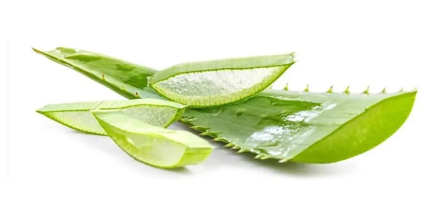 Posso prendere l’aloe anche se godo di buona salute?