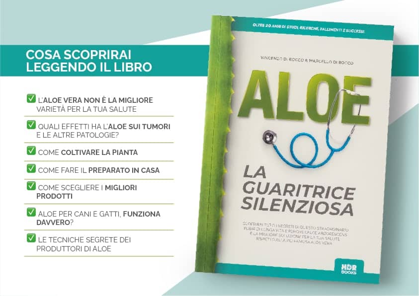Libro "Aloe la guaritrice silenziosa"
