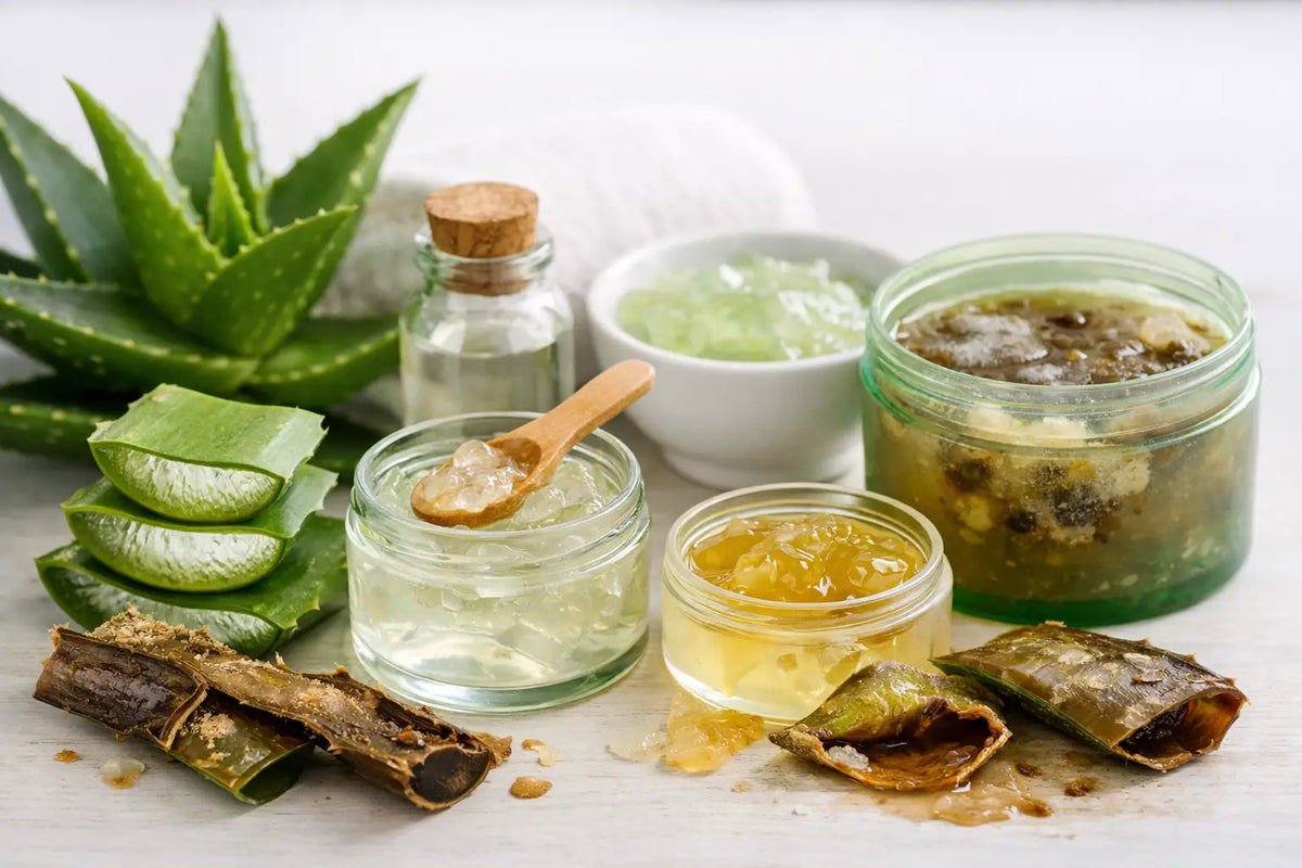 7 segnali di aloe scadente da riconoscere