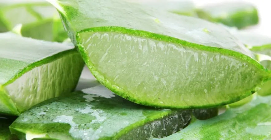 Come e perchè bisogna assumere l’aloe?