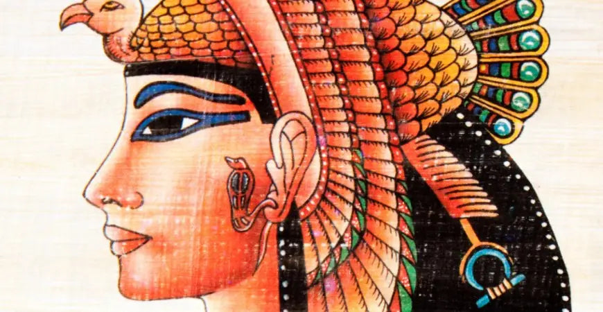 Le fantastiche proprietà cosmetiche dell’aloe arborescens