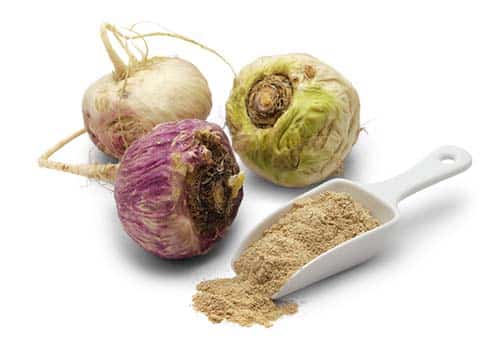 Maca