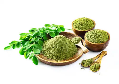 Moringa