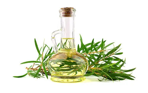 Tea Tree Oil