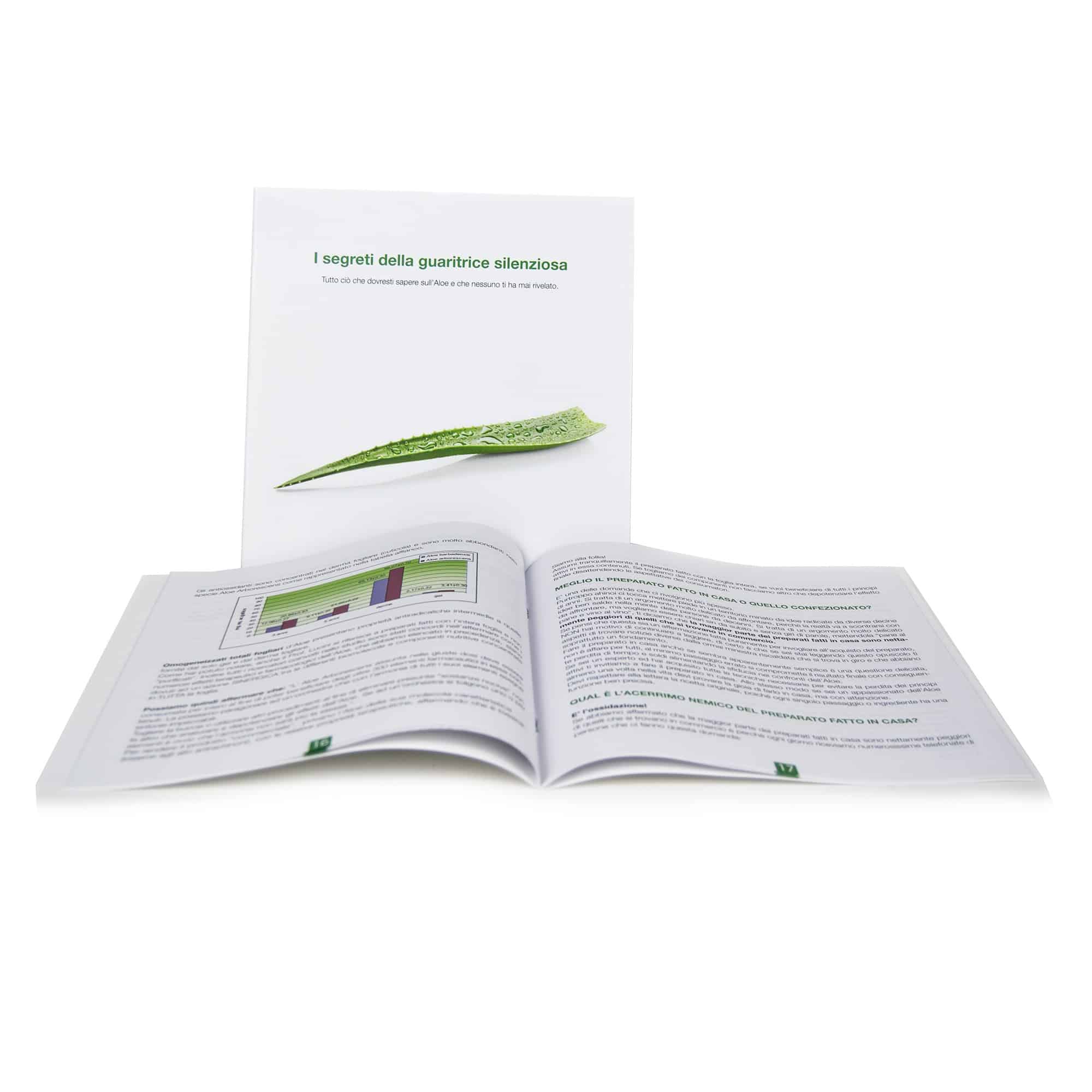 Folleto Los secretos del sanador silencioso