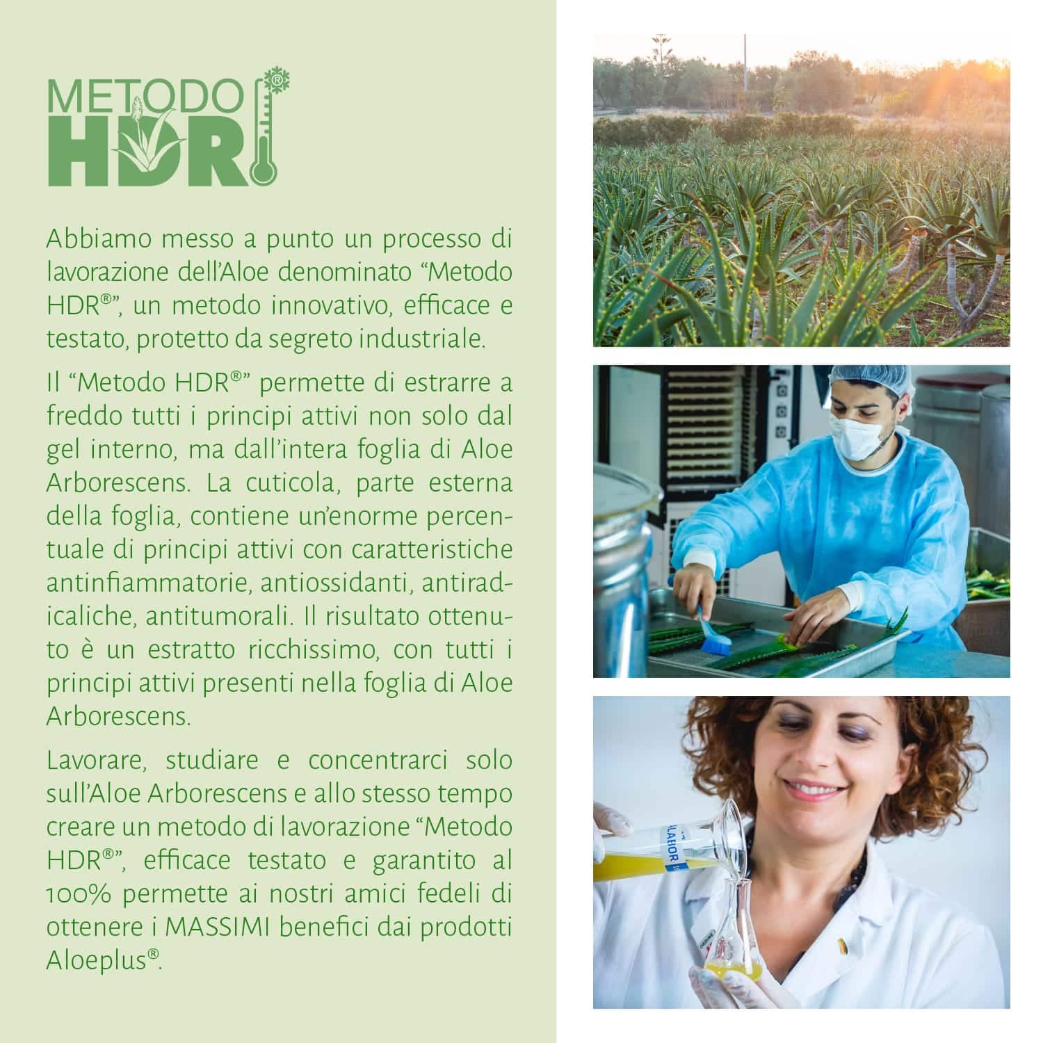 Aloe-beta® Gel de Aloe Arborescens orgánico puro al 99% 